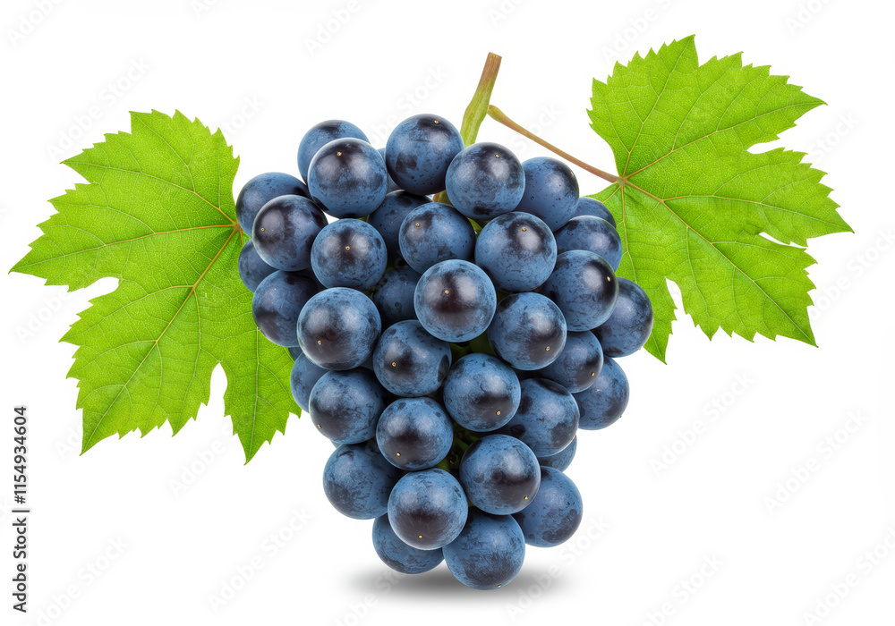 Fototapeta premium Blue grape cluster with leaves isolated on white background