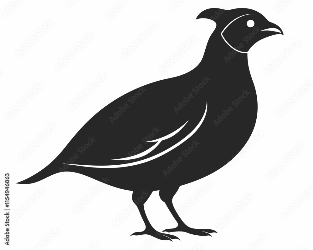 Silhouette of Quail Bird on White Background
Silhouette of Quail Bird on White Background