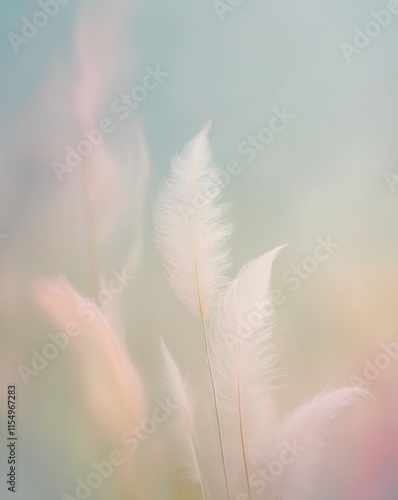 Soft Focus Color Gradients with Diffused Lighting photo