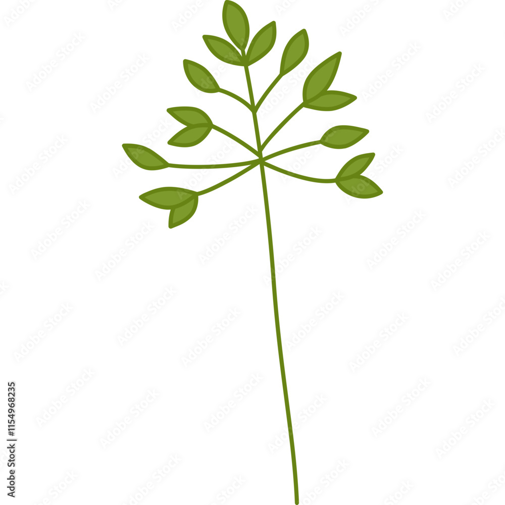 leaf design element on transparent background leaf design element on transparent background