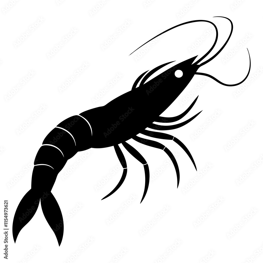 illustration of a shrimp illustration of a shrimp