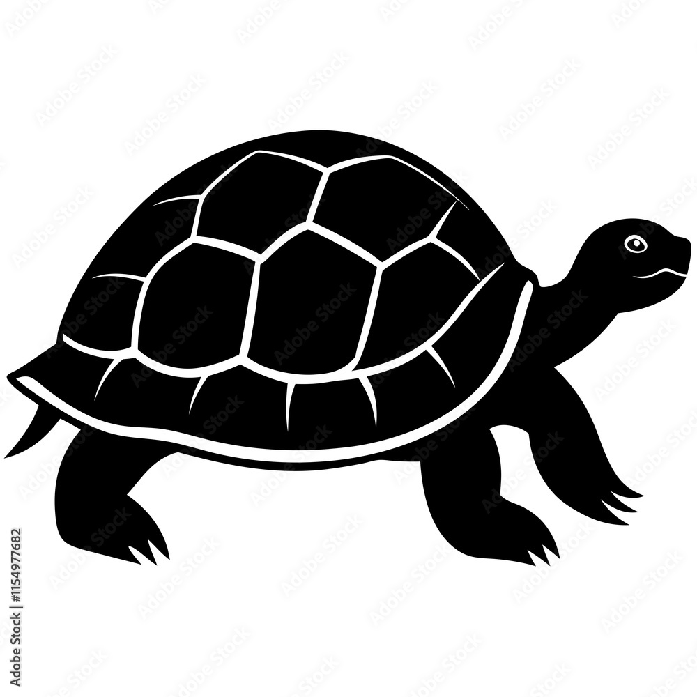 turtle turtle