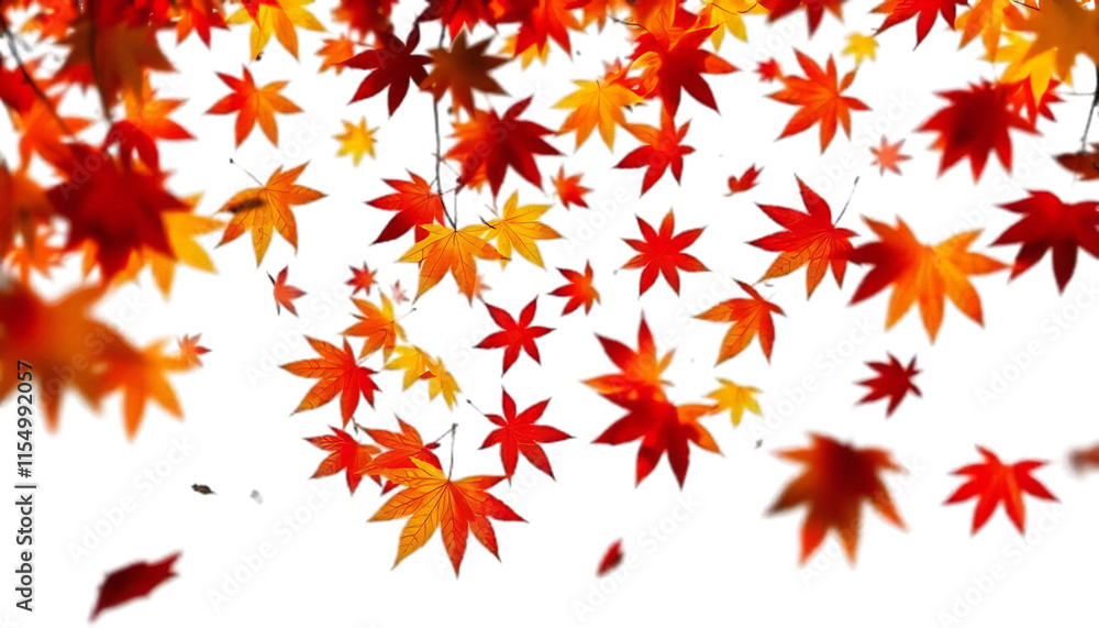 Spiral Dance of Bright Leaves on White Background Spiral Dance of Bright Leaves on White Background
