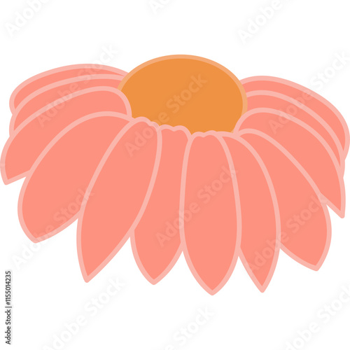 flower with color hand draw style