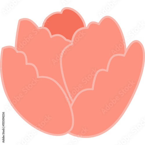 flower with color hand draw style