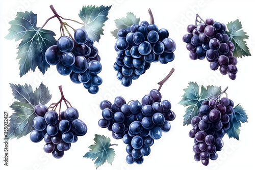 bunch of grapes