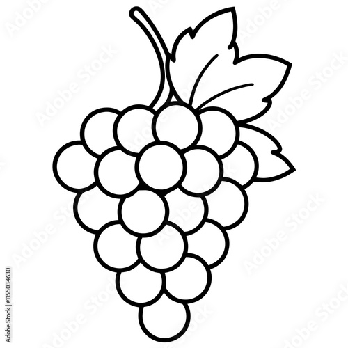 Grape art vector