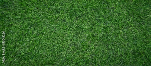 Wallpaper Mural Freshly Cut Green Grass in Perfect Symmetry viewed from Topdown  Peaceful and Natural Aerial Closeup Photo Torontodigital.ca