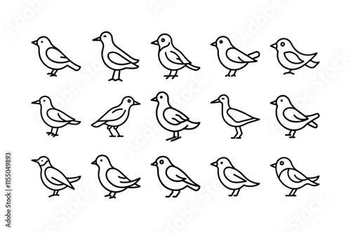 set of vector line art bird icons  photo