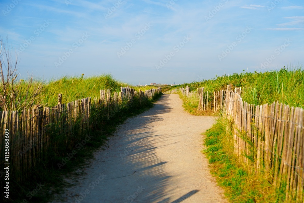 A serene countryside path in the Netherlands, flanked by lush grass and wooden fences, under a clear blue sky. Ideal for peaceful strolls or as a beautiful photoshoot backdrop. A serene countryside path in the Netherlands, flanked by lush grass and wooden fences, under a clear blue sky. Ideal for peaceful strolls or as a beautiful photoshoot backdrop.