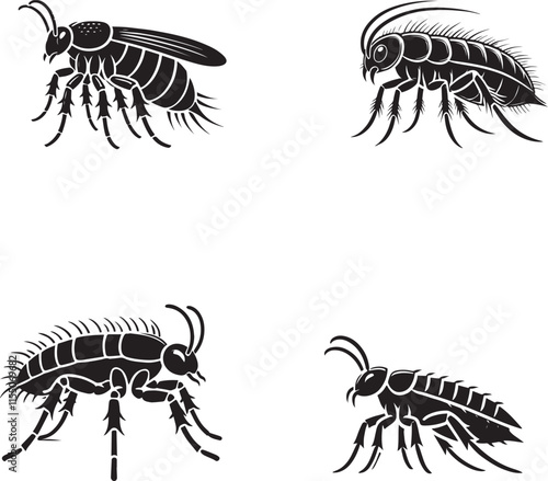 "4 Set of Black Beetle Silhouettes Isolated on White Background"