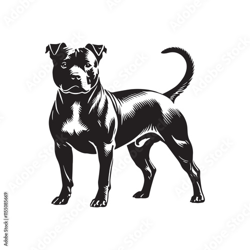 American Staffordshire Terrier Silhouette - American Staffordshire Terrier Illustration - Minimalist Dog Vector.