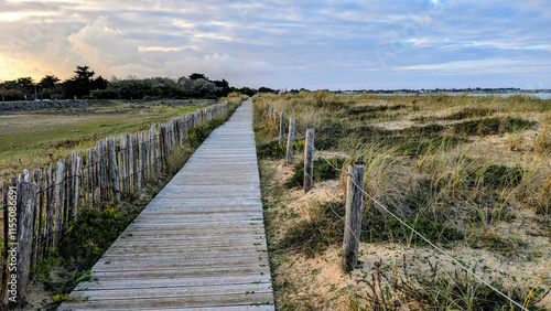 fence sea pathway wooden access atlantic beach in sand dunes in ocean france