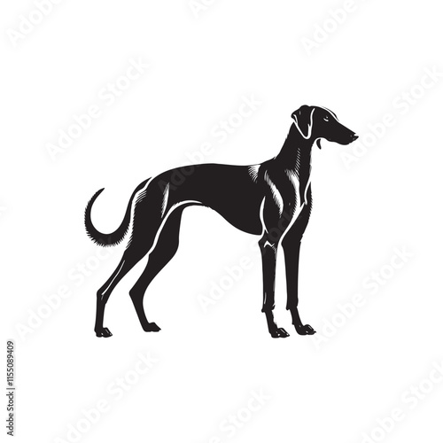 American Staghound Vector - Minimalist Design - American Staghound Silhouette - Illustration of Dog.
