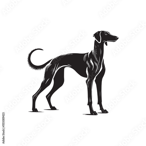 American Staghound Vector - Minimalist Design - American Staghound Silhouette - Illustration of Dog.