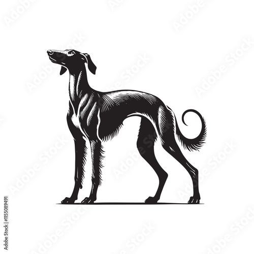 American Staghound Vector - Minimalist Design - American Staghound Silhouette - Illustration of Dog.