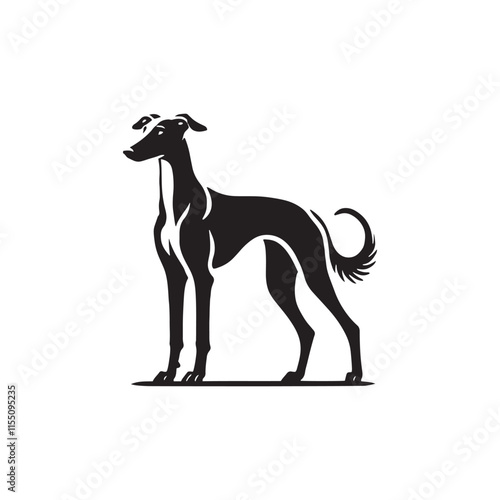 Azawakh Dog Silhouette - Azawakh Dog Illustration - Minimalist Azawakh Dog Vector. photo