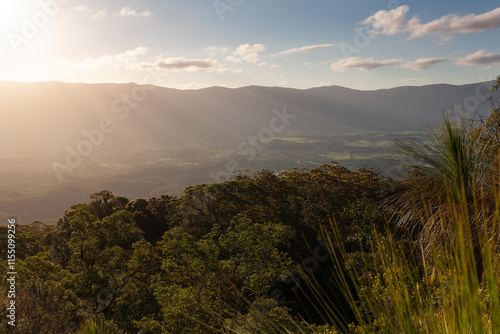 Brummies Lookout, Wollumbin National Park. Grass tree (Xanthorrhoea). Lookout to Border Ranges Nationalpark and Lamington National Park. photo