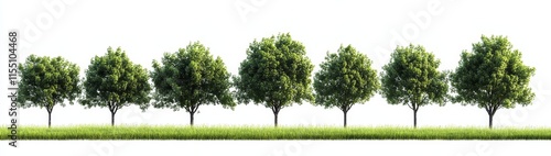 Row of seven lush green trees on a grass field, isolated on white background. photo