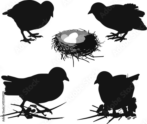 Bird Silhouettes Nest Collection icon set Nature Vector Design Elements in Black and White Style