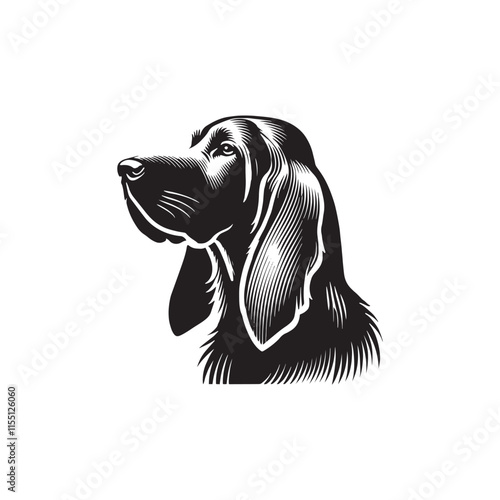 Silhouette of Bloodhound - Bloodhound Vector - Illustration of Bloodhound.