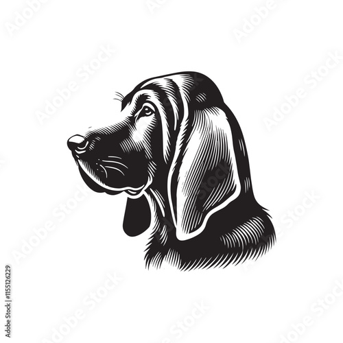 Silhouette of Bloodhound - Bloodhound Vector - Illustration of Bloodhound.