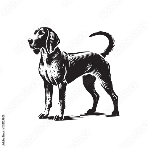 Bluetick Dog Silhouette - Illustration of Dog - Minimalist Design Of Dog - Dog Vector.