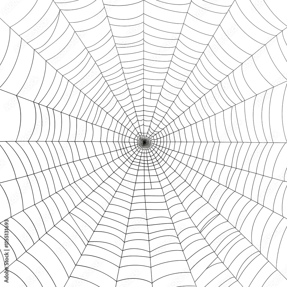 Intricate spider web in soft morning light Intricate spider web in soft morning light