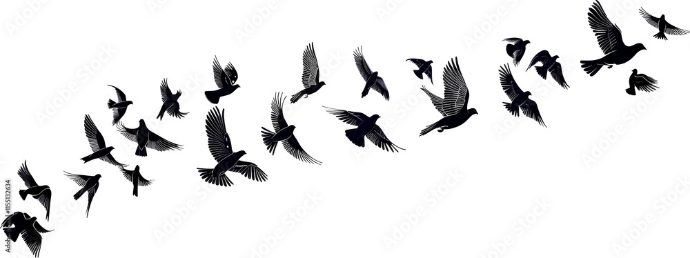 Flock of birds flying in a V formation