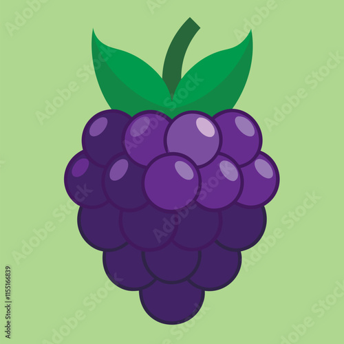 Sweet blackberries vector realistic blackberry, bramble, dewberry illustration