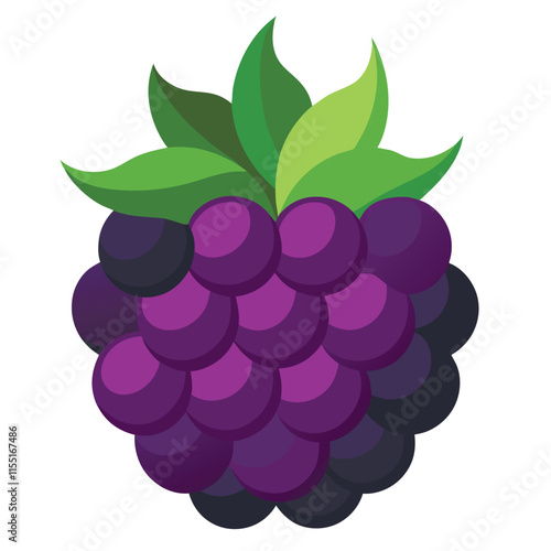 Sweet blackberries vector realistic blackberry, bramble, dewberry illustration