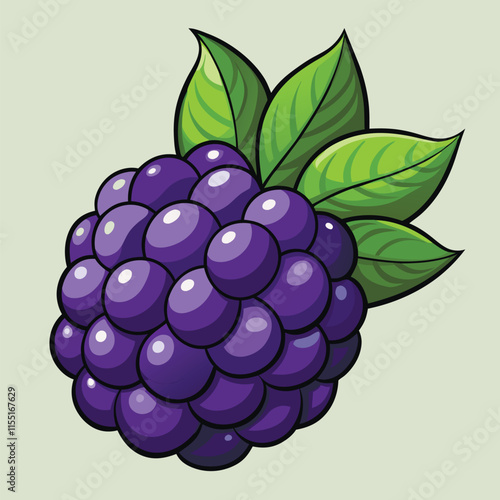 Sweet blackberries vector realistic blackberry, bramble, dewberry illustration