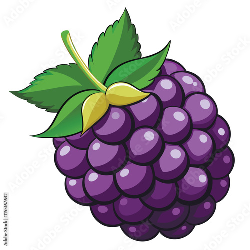 Sweet blackberries vector realistic blackberry, bramble, dewberry illustration