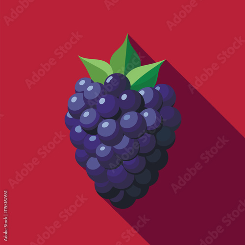 Sweet blackberries vector realistic blackberry, bramble, dewberry illustration