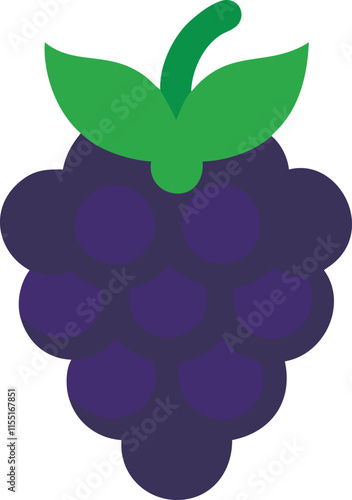 Sweet blackberries vector realistic blackberry, bramble, dewberry illustration