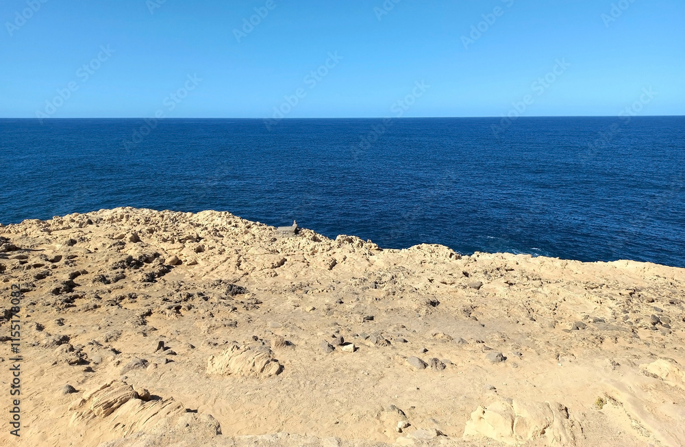 Obraz premium Canary Islands of Spain ocean and rocks
