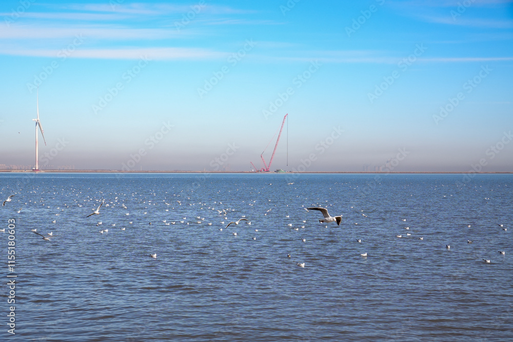 Naklejka premium kite surfing on the atlantic ocean