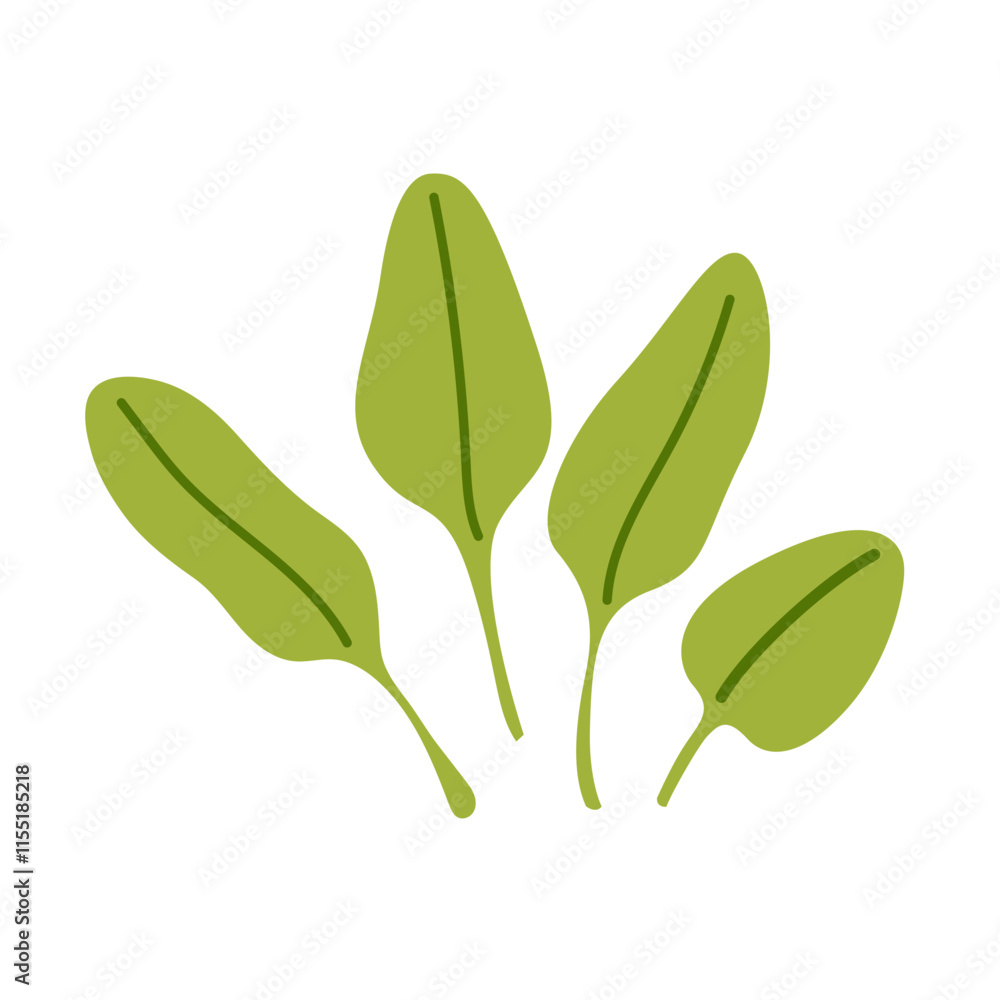Naklejka premium Fresh hand drawn spinach leaves. Minimalist doodle flat style. Ingredient for salad