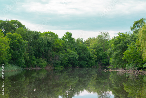 A tranquil pond surrounded by lush greenery in a forest.
