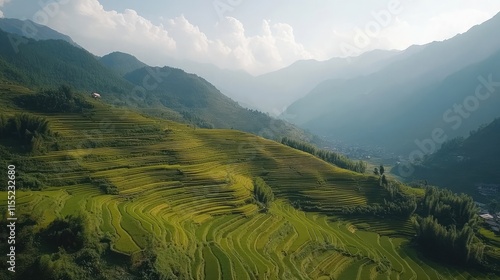 A dronea??s view of terraced rice fields in a lush valley photo