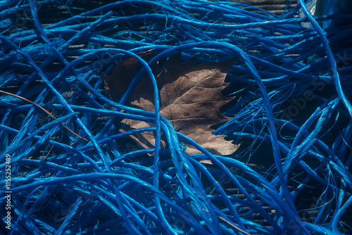 Una foglia marrone sepolta sotto una matassa di corde da pesca colorate di blu elettrico photo