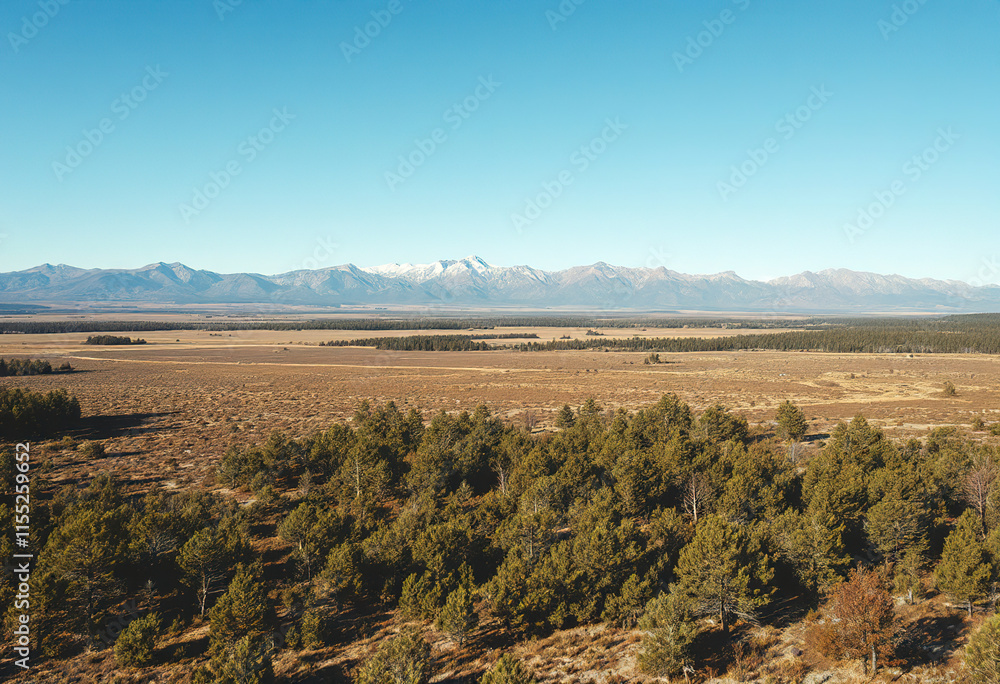 Naklejka premium A vast, open landscape with a forested area in the foreground and a distant mountain range on the horizon under a clear blue sky