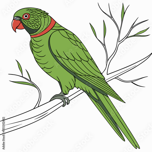 A vibrant illustration of a green parrot with striking green plumage and a distinctive red ring around its neck, perfect for digital art, logos, and creative projects.