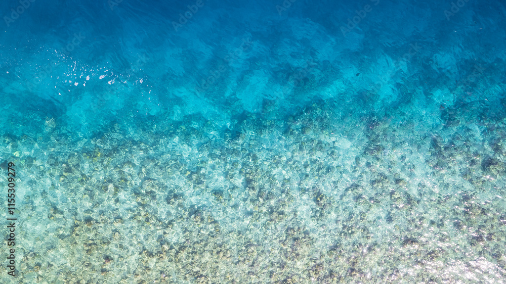 Top view of the turquoise gradient color of the water. The ocean is like a background. Incredible gradient from light blue to dark. Reef and fish swim. Clear water in the lagoon. The drone. Maldives