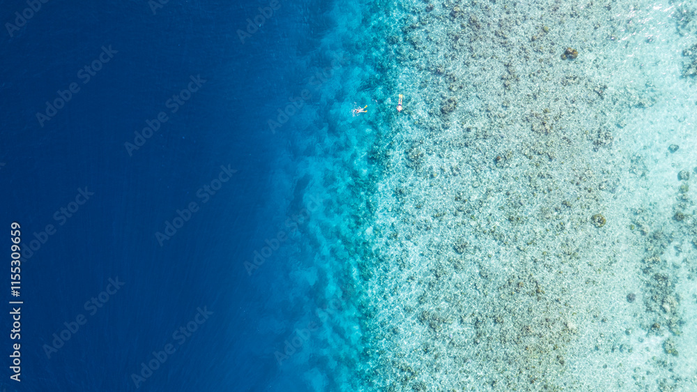Top view of the turquoise gradient color of the water. The ocean is like a background. Incredible gradient from light blue to dark. Reef and fish swim. Clear water in the lagoon. The drone. Maldives