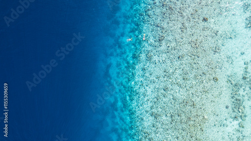 Obraz na płótnie Top view of the turquoise gradient color of the water. The ocean is like a background. Incredible gradient from light blue to dark. Reef and fish swim. Clear water in the lagoon. The drone. Maldives w salonie