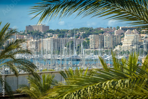 View to marina and Paseo Maritimo which is a nice boardwalk in Palma de Mallorca