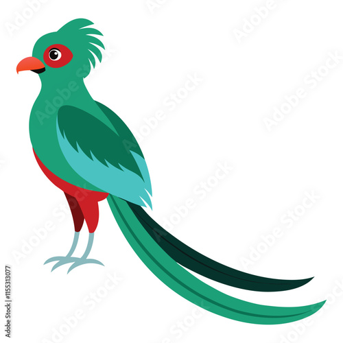 Quetzal bird illustration 