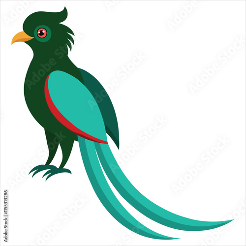 Quetzal bird illustration 