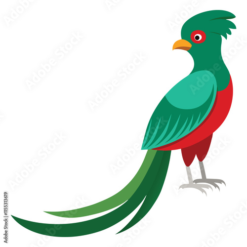 Quetzal bird illustration 